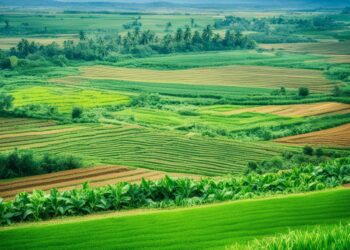 agricultura extensiva