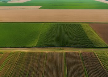 agricultura intensiva