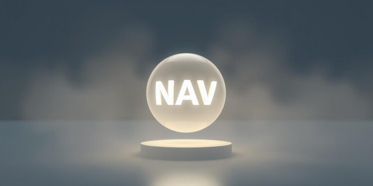 Valor liquidativo