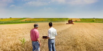 Trabajo e inmigración